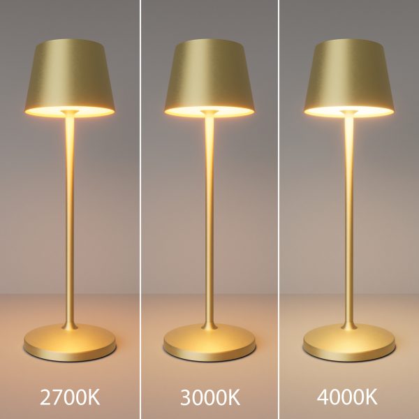 Аккумуляторный светильник Maytoni MOD494RL-L1BSK — изображение 5