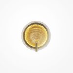 Настенный светильник (бра) Maytoni MOD481WL-L5BS3K — изображение 5