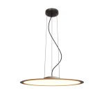 Подвесной светильник Maytoni MOD471PL-L57BK