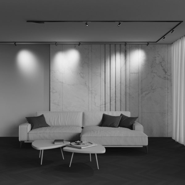 Трековый светильник Technical TR243-4-5WTW-DD2-B — изображение 2