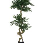 Акация высота 155 — изображение 2