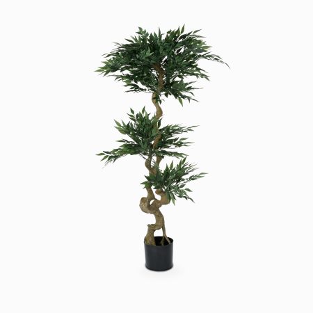 Акация высота 155