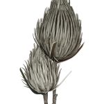 Декор Futuristic — изображение 2