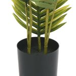 Ховея Пальмовая высота 60 — изображение 2