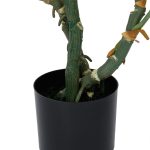 Монстера высота 155 — изображение 2