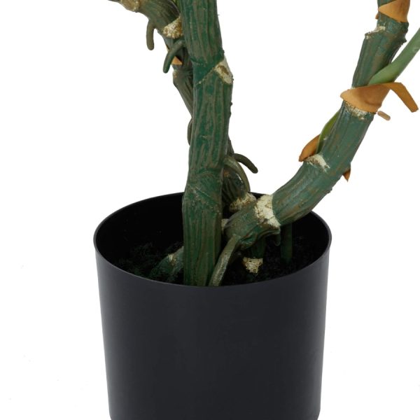 Монстера высота 155 — изображение 2