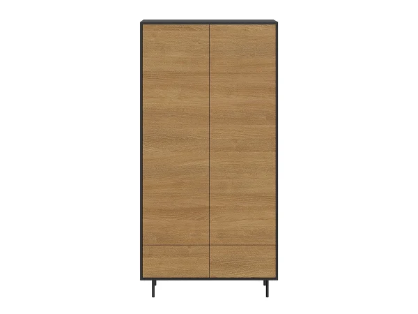 Шкаф 2-дверный Look черный — изображение 2